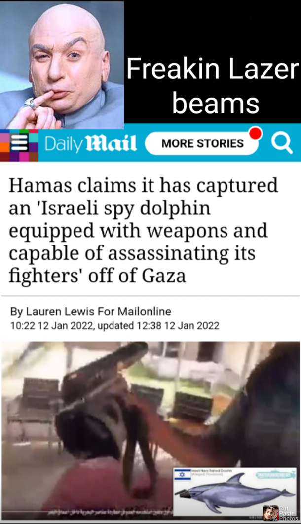 Read about spy dolphins Daily Mail today Thought of who might be behind it