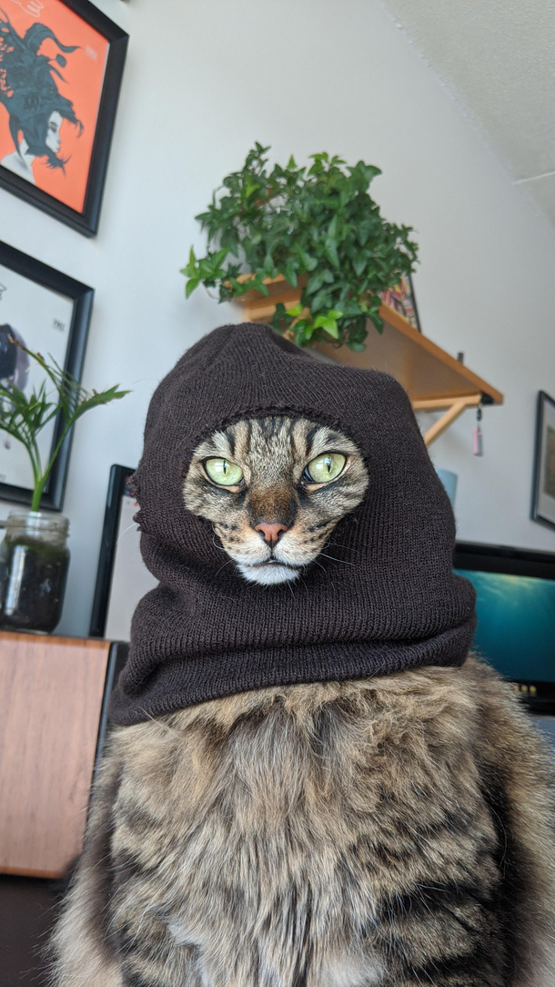 Ready for the storm Or the robbery
