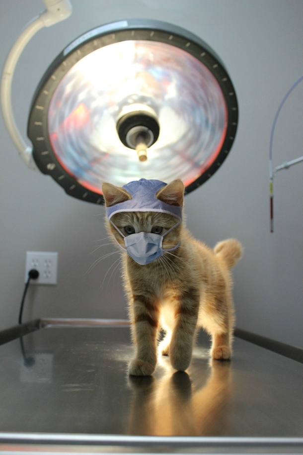 Ready for your CAT scan.