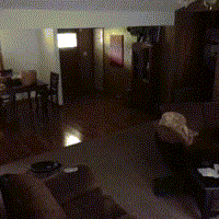 Real ghost caught on film