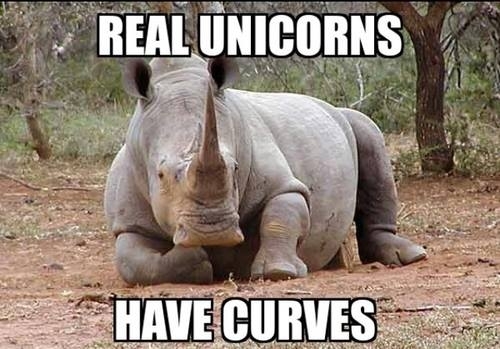 real unicorns