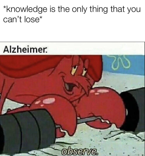 Reality is often desappointing