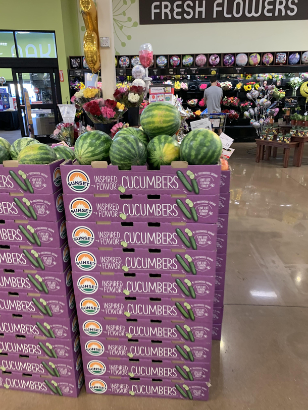 Really fat cucumbers