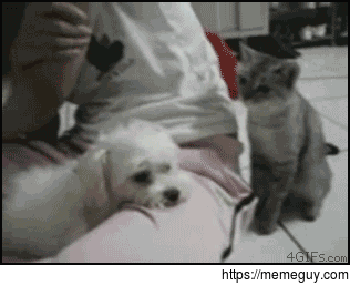 ReallyDo you mind