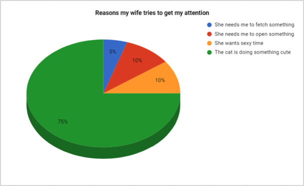 Reasons my wife tries to get my attention