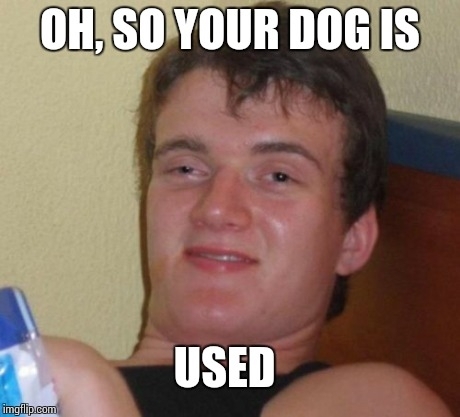 Recently bought a dog from a struggling owner This was my friends comment