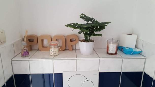 Recently bought an appartment and was advised to decorate my toilet to make it more cosy