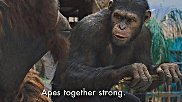 Recently captured feed of rWallStreetBets