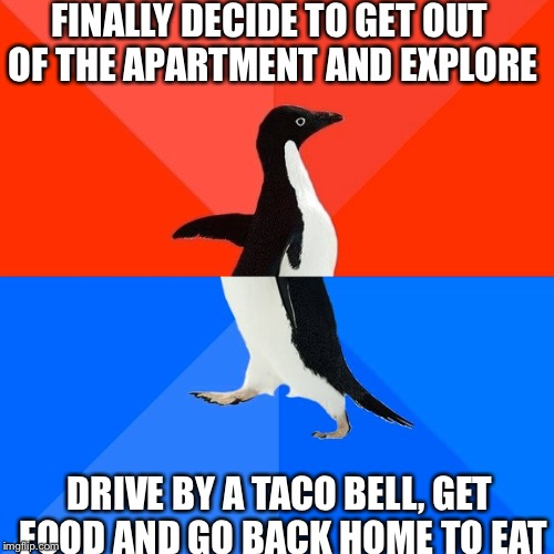 Recently moved away from SO and friends for work so every day I come home and sit