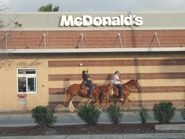 Recently moved to Texas Saw this today
