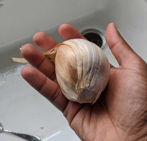 Recipe says use one clove of garlic