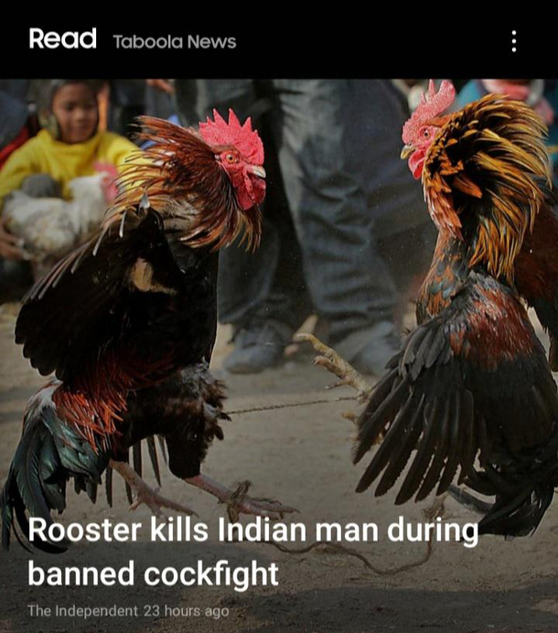 Recommended news in my phone