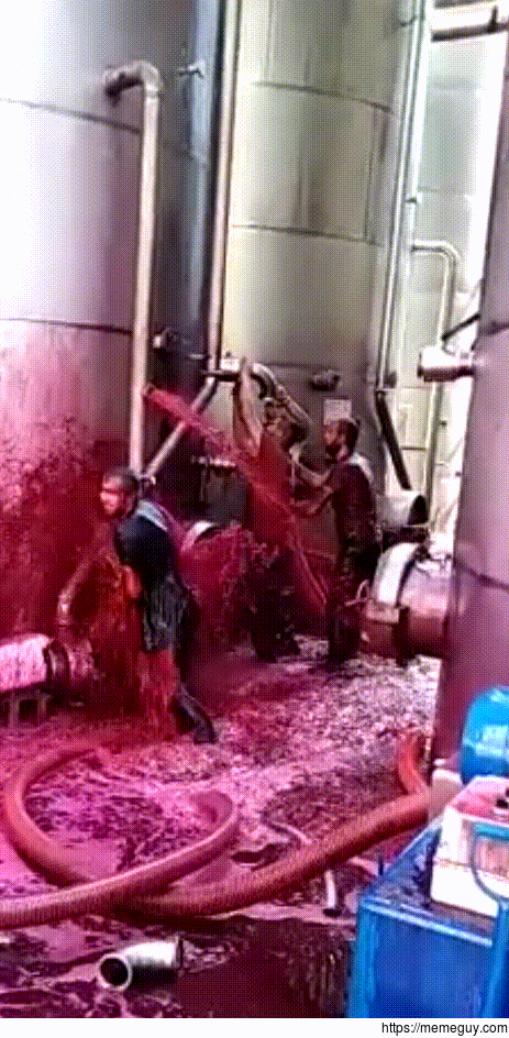 Red wine tragedy