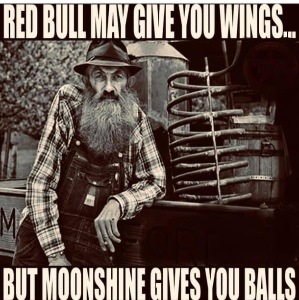 Redbull vs moonshine