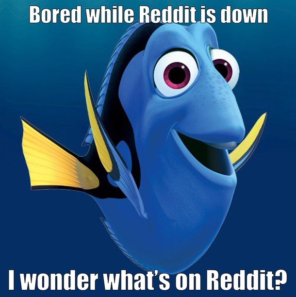 Reddit has broken me