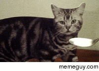 Reddit met Mitten Dammit