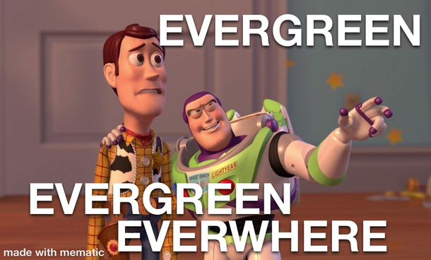 Reddit These Days