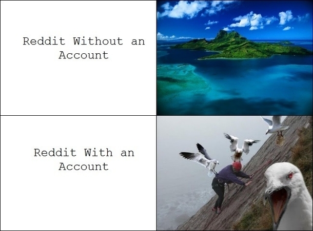 Reddit with and without an account