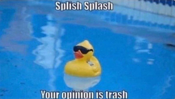Redditors seeing others opinions