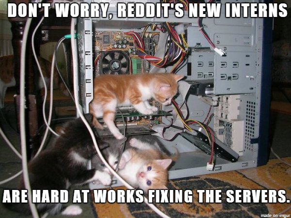 Reddits Down Again