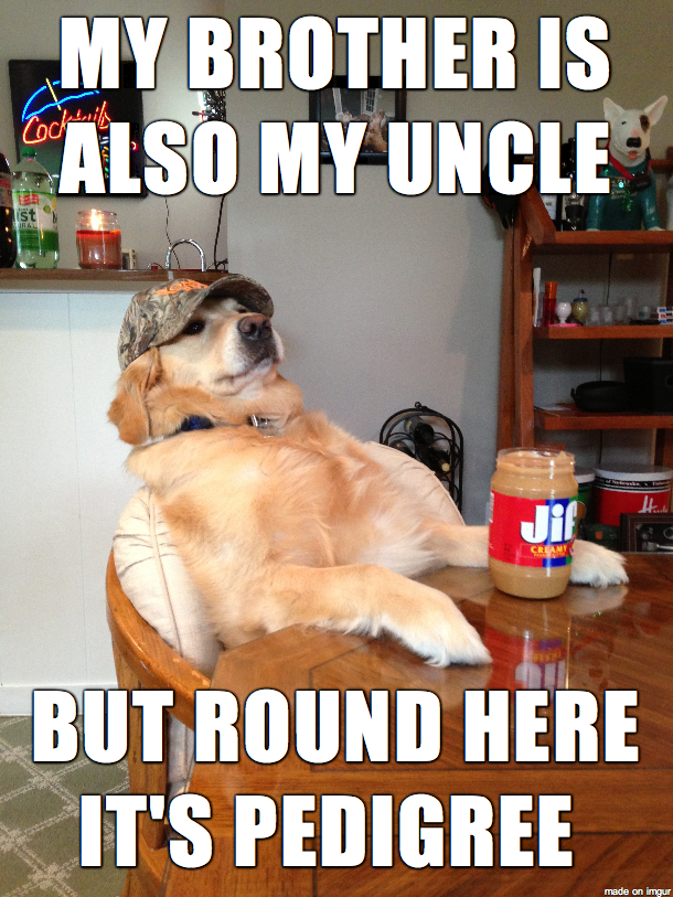 Redneck Retriever Family