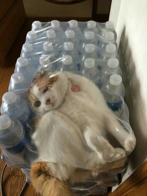 Regret in one face