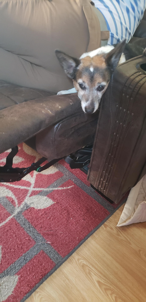 Regretting sharing the recliner
