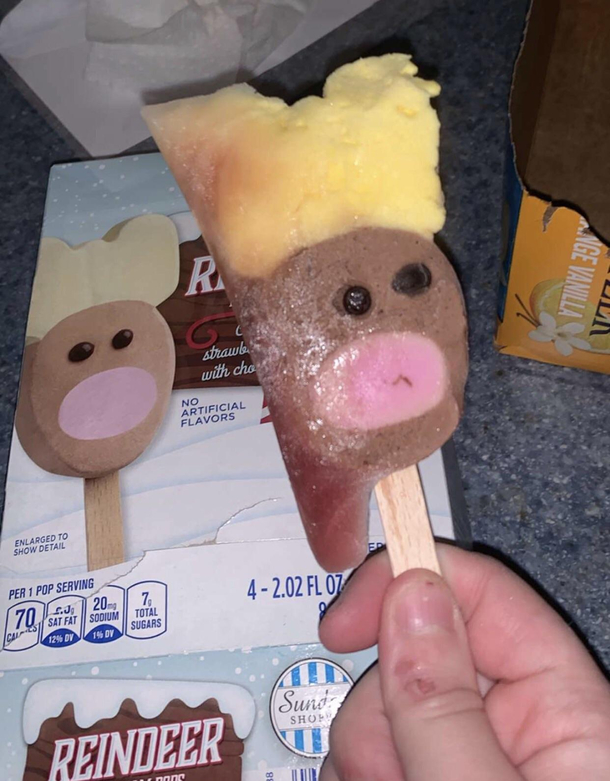 Reindeer had a rough Christmas