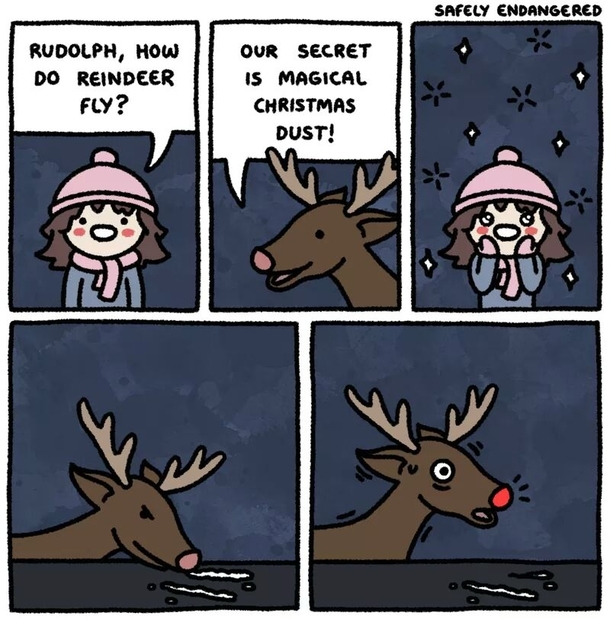 Reindeer secrets