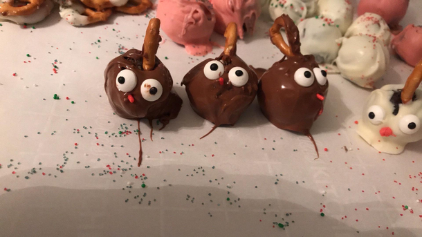 Reindeer Truffles not how I imagined them