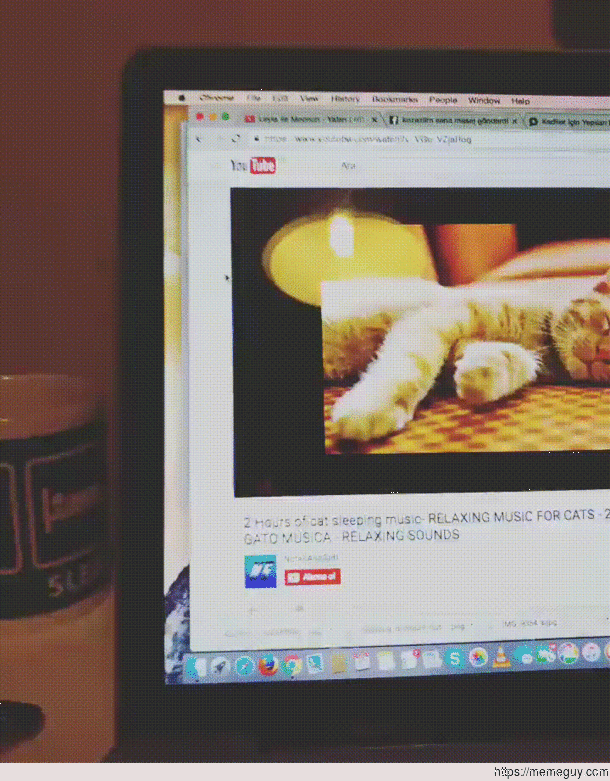 Relaxing music for cats