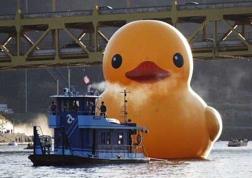 Release the Quacken