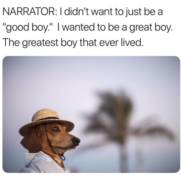 Release this movie