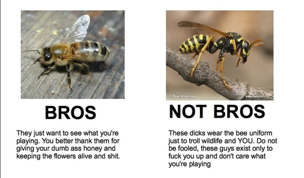 Remember Bros and Not Bros