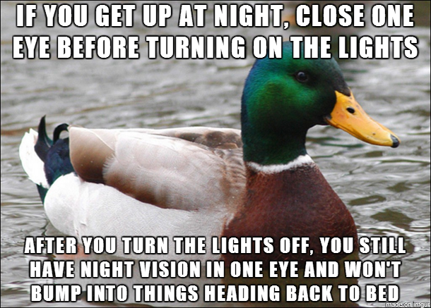 Remember when this mallard gave useful advice