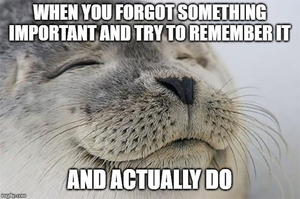 Remembering feels good