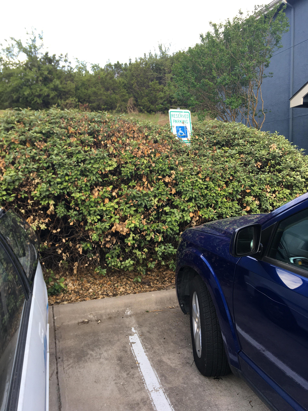 Reminded me of Homer Simpson backing into the bushes