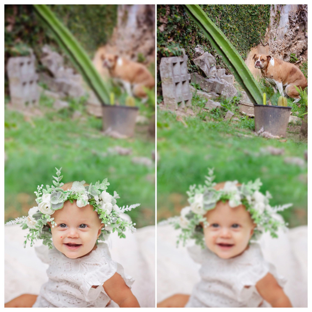Reminder to always check your background when taking pictures