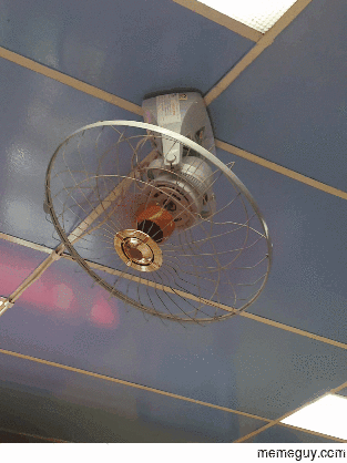Removed for being too interesting for rmildlyinteresting this fan is attached to the ceiling and turns on three axes Whoa
