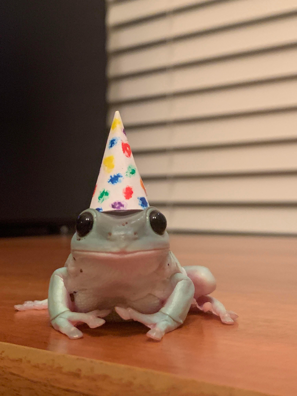 Repost this image a frog for no reason