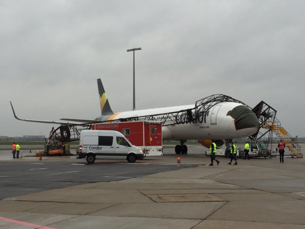 Rescuers restrain and cover the eyes of a panicking plane to calm it down