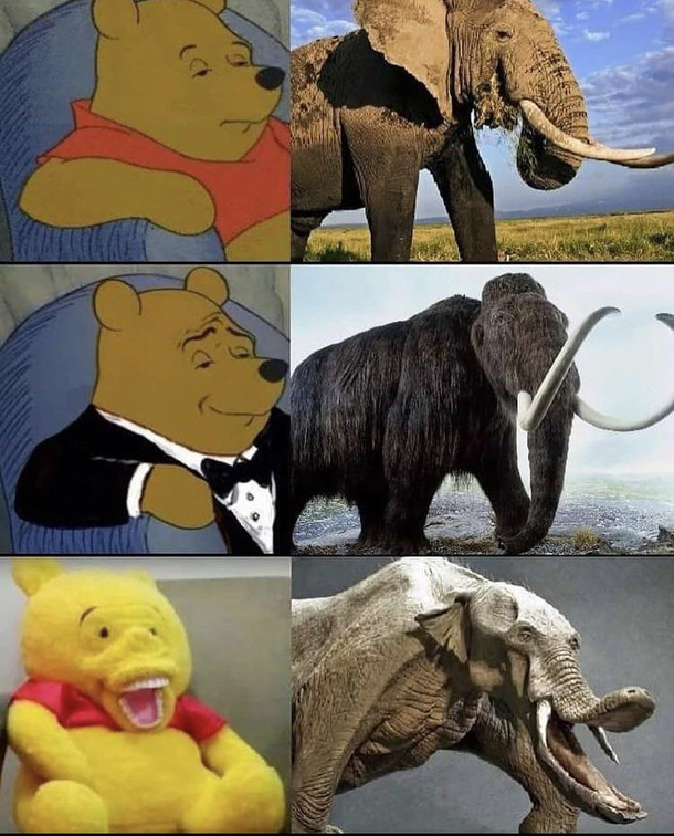 Resemblance to any Head of State is purely coincidental