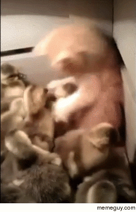 Resistance is futile