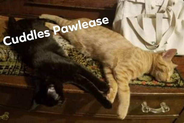 Rest time Best time