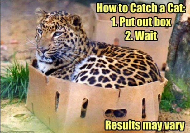results may vary