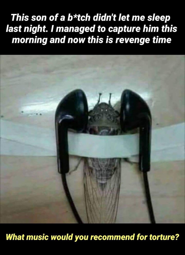 Revenge done right