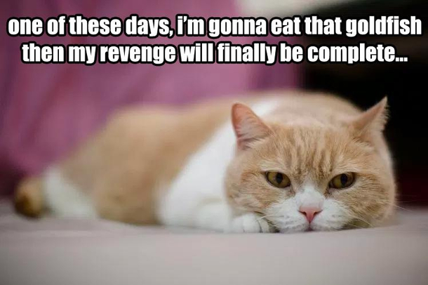 Revenge is tasty