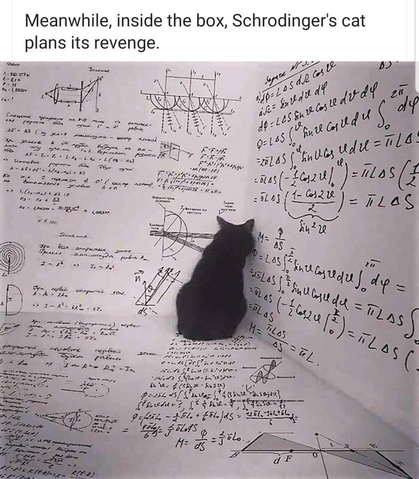 Revenge of Schrdingers Cat