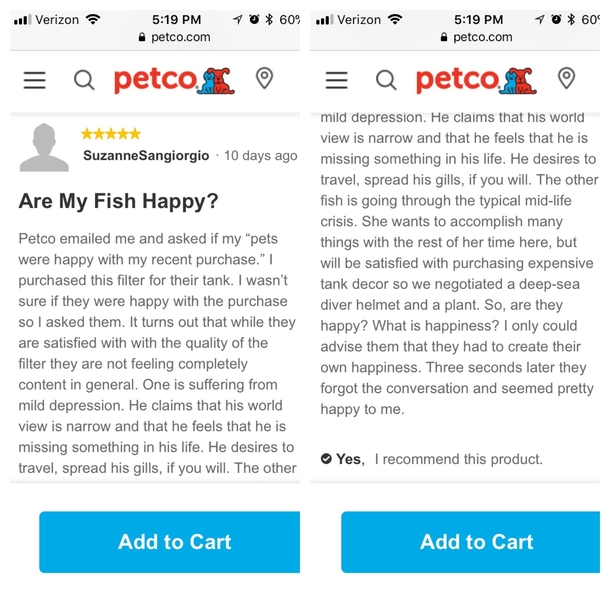 Review for an aquarium filter