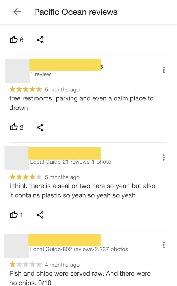 Reviews of the Pacific Ocean on Google